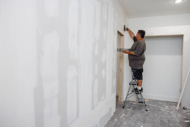 Silver Grove, KY Mold Removal Company